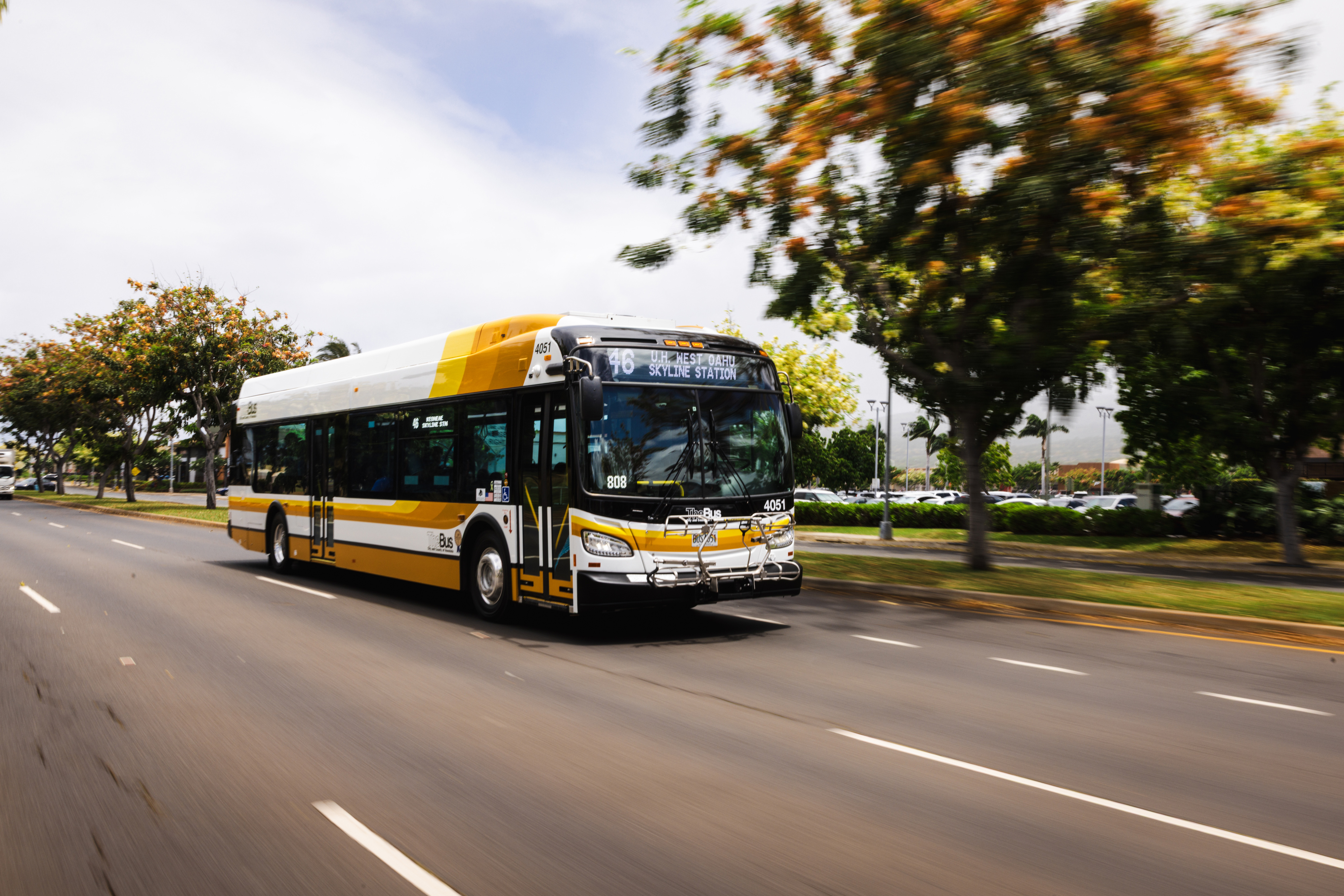 TheBus articulated bus travels along a tree-lined O‘ahu roadway